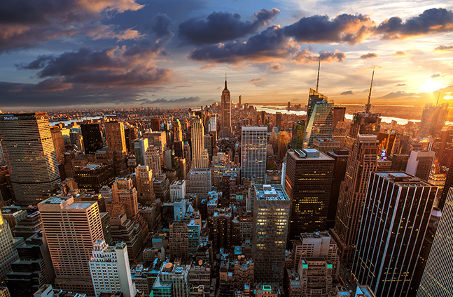 ข้อบังคับการปฏิบัติงานด้านความปลอดภัยของเครื่องตัดหญ้า