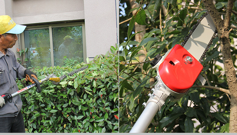 ทักษะการตัดเครื่องมือในการบำรุงรักษาสวนมีอะไรบ้าง?