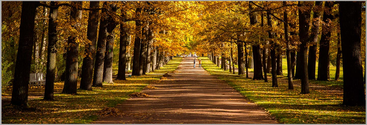 NINGBO AOSHENG MACHINE CO., LTD.